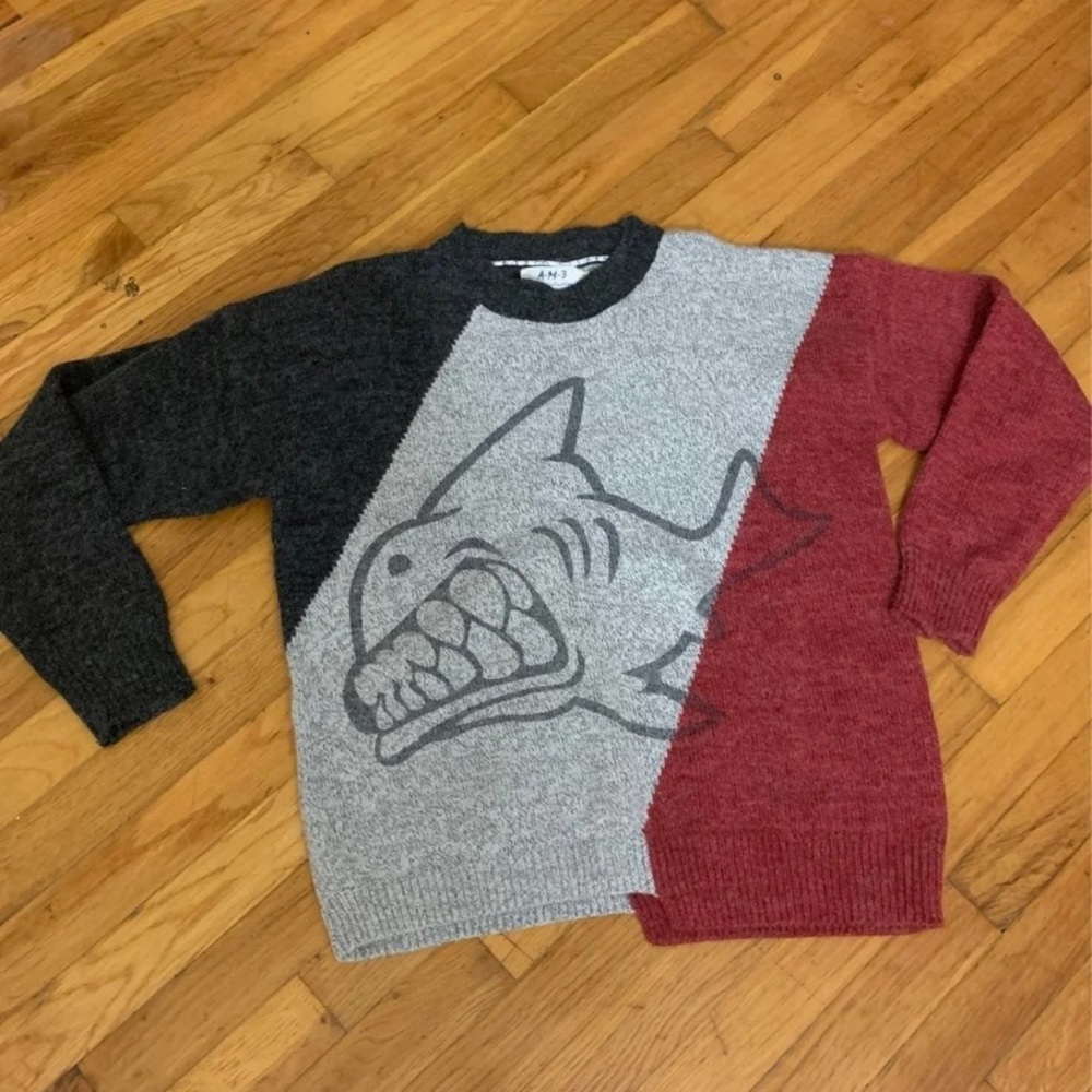 Men’s crewneck colorblock sweater